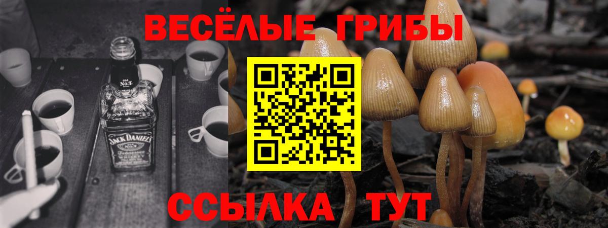 Псилоцибиновые грибы Psilocybe  наркота  Сургут  Галлюциногенные грибы мухоморы  Вход с VPN 